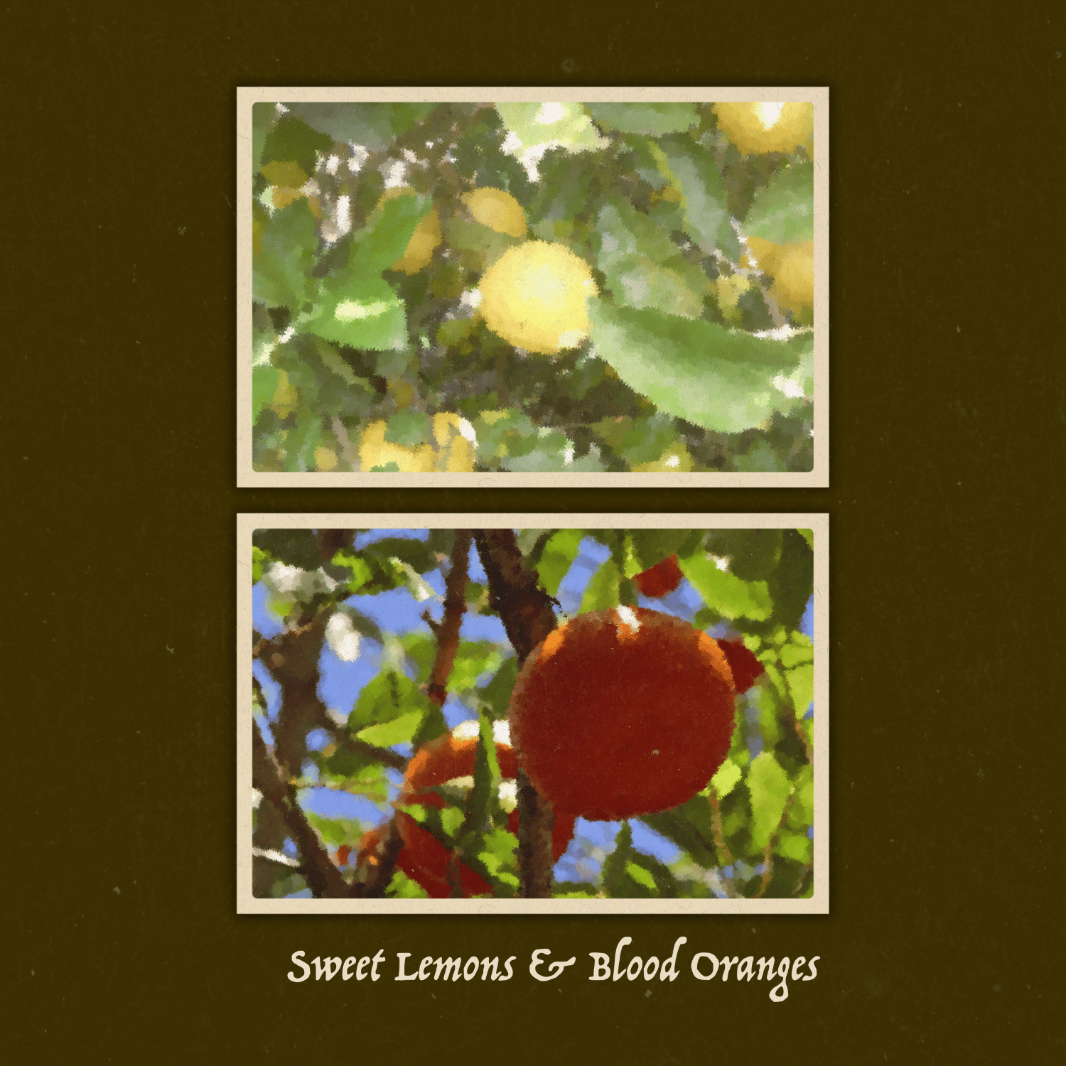 Sweet Lemons and Blood Oranges cover panel
